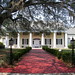 Stephen White Photo 28