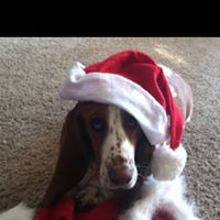 Tricia Vickery Photo 8