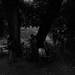 Marye Camp Photo 6