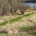 Harold Mann Photo 31