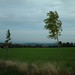 Robert Raden Photo 11
