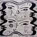 Shailesh Patel Photo 21
