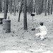 Christopher Grogan Photo 16