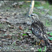Jay Dougherty Photo 2