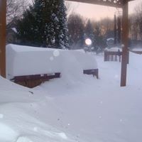 Amy Shaver Photo 29