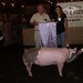 Pamela Mckee Photo 13