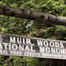 William Muir Photo 16