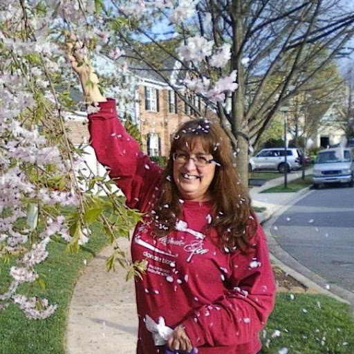 Cindy Horner Photo 13