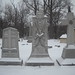 Sherman Williams Photo 29
