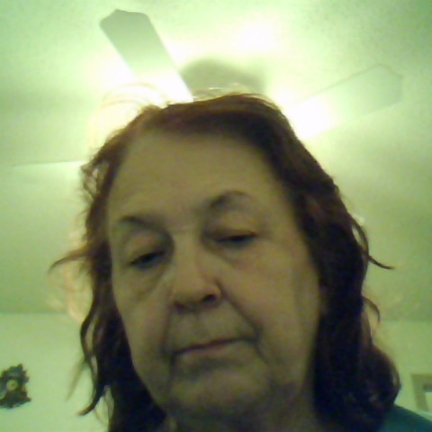 Dorothy Bartlett Photo 10