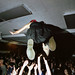 Heather Daly Photo 37