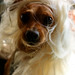 Ruby Sherman Photo 4