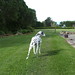 Dolly Robinson Photo 19