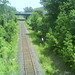 Ernest Thompson Photo 32