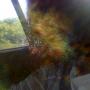James Luckett Photo 43