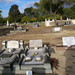 Harold Sanders Photo 25