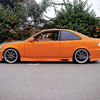 Greg Collins Photo 44