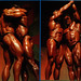 Andy Porter Photo 10
