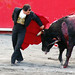 Gloria Cavazos Photo 13