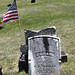 Susan Morse Photo 25