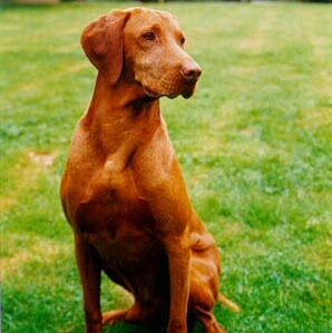 Ruth Daniels Photo 31