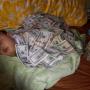 Leonard Lee Photo 10