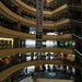 An Zheng Photo 24