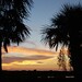Charles Rabb Photo 7