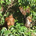 Kimberly Hedges Photo 16