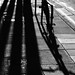 Adelaide Long Photo 3