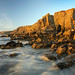 Sandy Roberts Photo 42