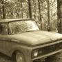 Joseph Mccann Photo 23
