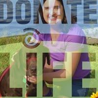 Donna Casey Photo 47
