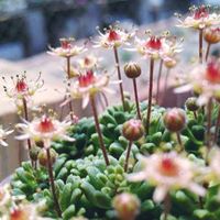 Helen White Photo 31
