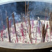 David Tien Photo 18