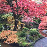 Susan Ashcraft Photo 20