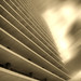 Don Ferraro Photo 6