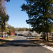 Billie Hill Photo 10