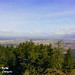 Allison Spencer Photo 12