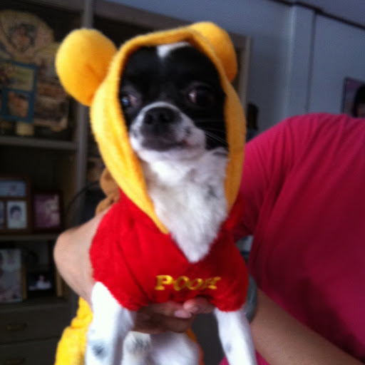 Sarah Khor Photo 5