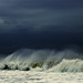 Sandy Richter Photo 17