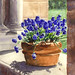 Cindi Lewis Photo 21