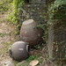 Chi Lai Photo 11