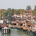 Cheung Cheng Photo 7