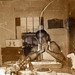 George Shumaker Photo 2