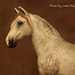 Lora Baker Photo 10