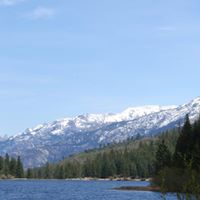 Susan Ingels Photo 7