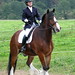 Susanne Becker Photo 3