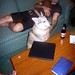 Stephen Couch Photo 18