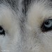 Brenda Mims Photo 13